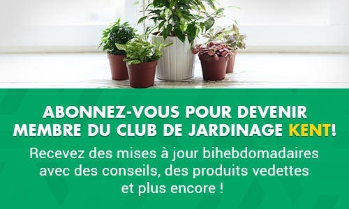 Gardening Emailer Banner
