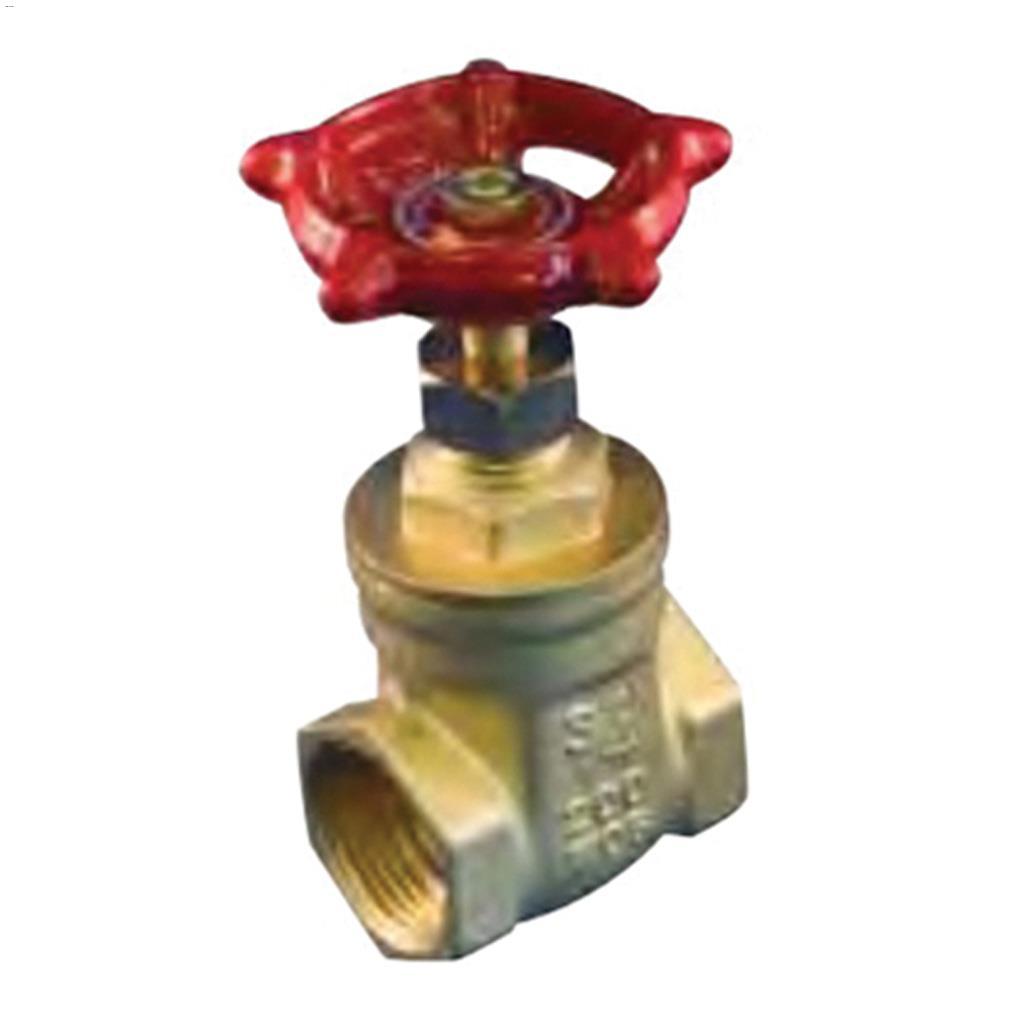 1" 200 PSI Threaded Brass Gate Valve