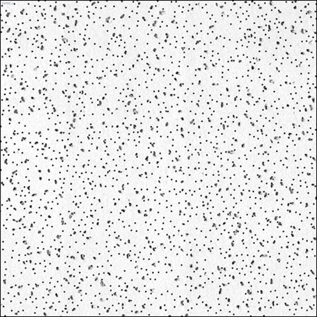 Radar 2110 Basic Acoustical Panel 2' x 2' x 5/8"-16/Box