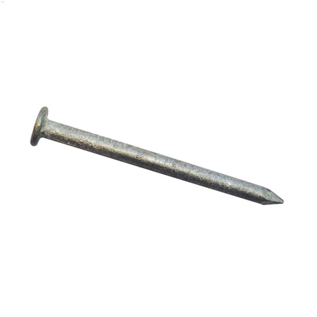 10" Hot Dipped Galvanized Common Nail-50 lb