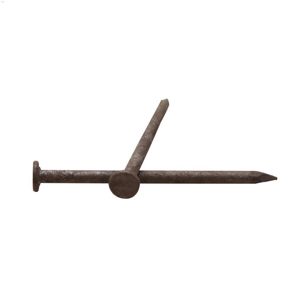 2" Hot Dipped Galvanized Common Nail-1.5 kg
