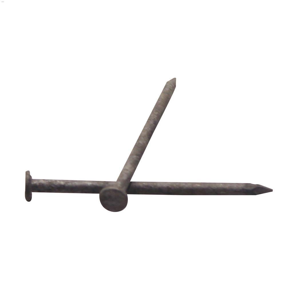2-1/2" Hot Dipped Galvanized Common Nail-1.5 kg