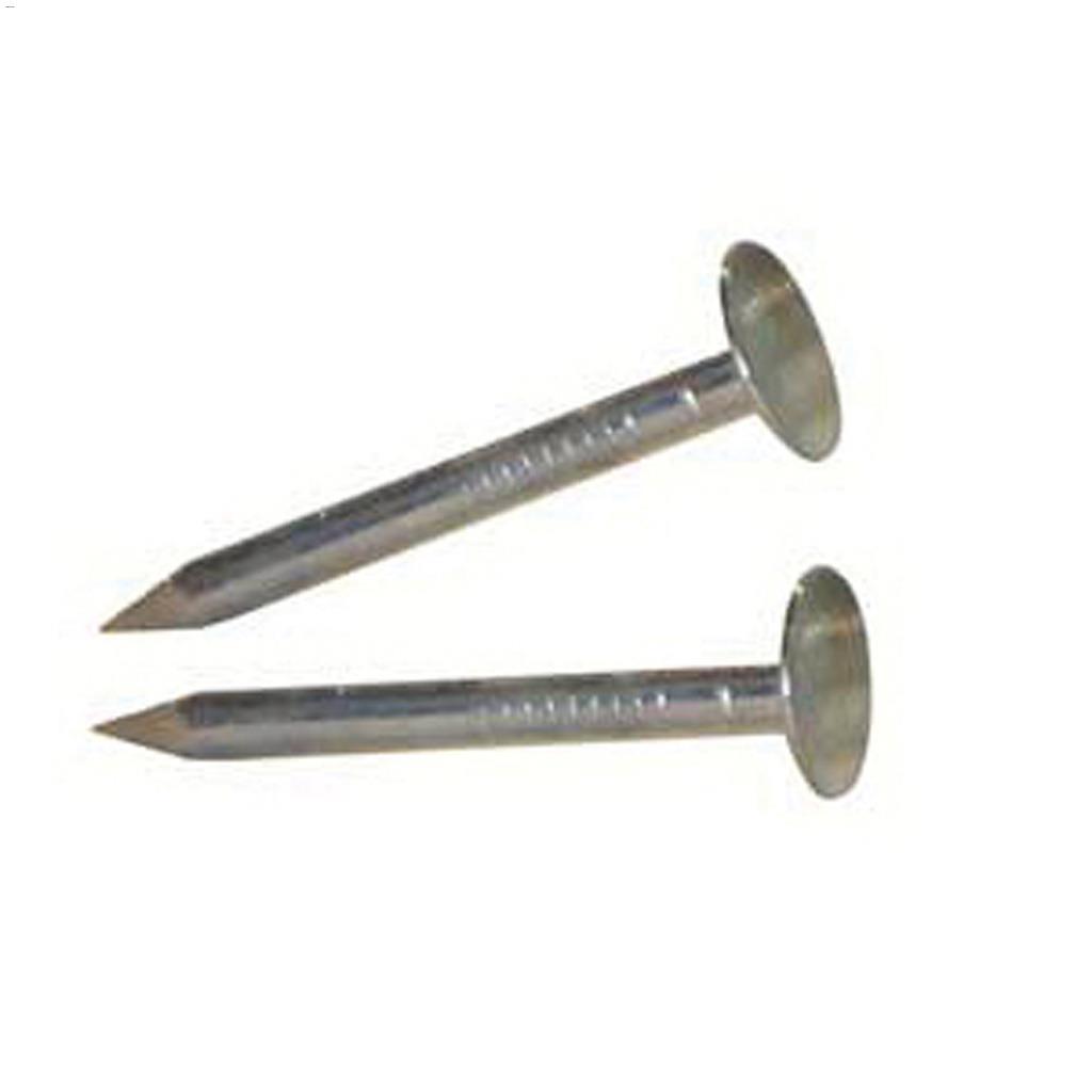 2-1/2" Electro Galvanized Roofing Nail-400 g