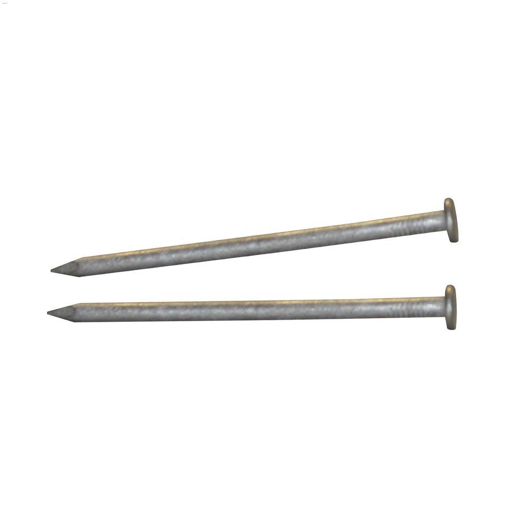 4" Hot Dipped Galvanized Common Nail-400 g