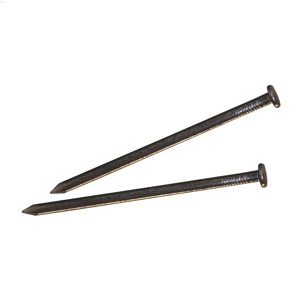 2-1/2" Bright Common Nail-400 g