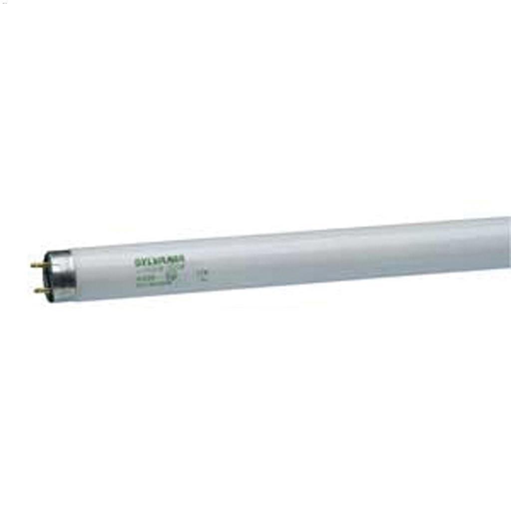 T8 17W 4100K 24" Fluorescent Bulb