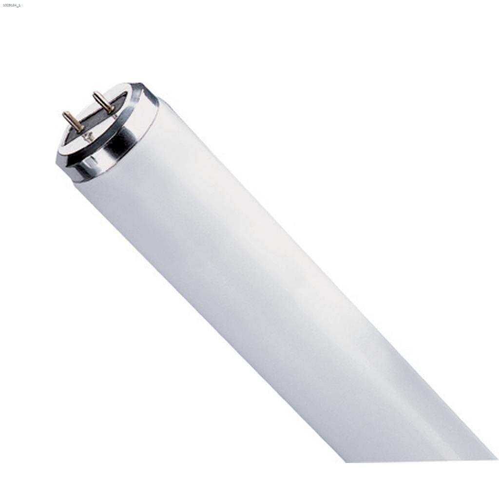 T12 40W 6500K 48" Fluorescent Bulb