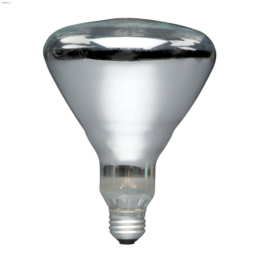 BR40 250W Heat Lamp Clear Incandescent Bulb