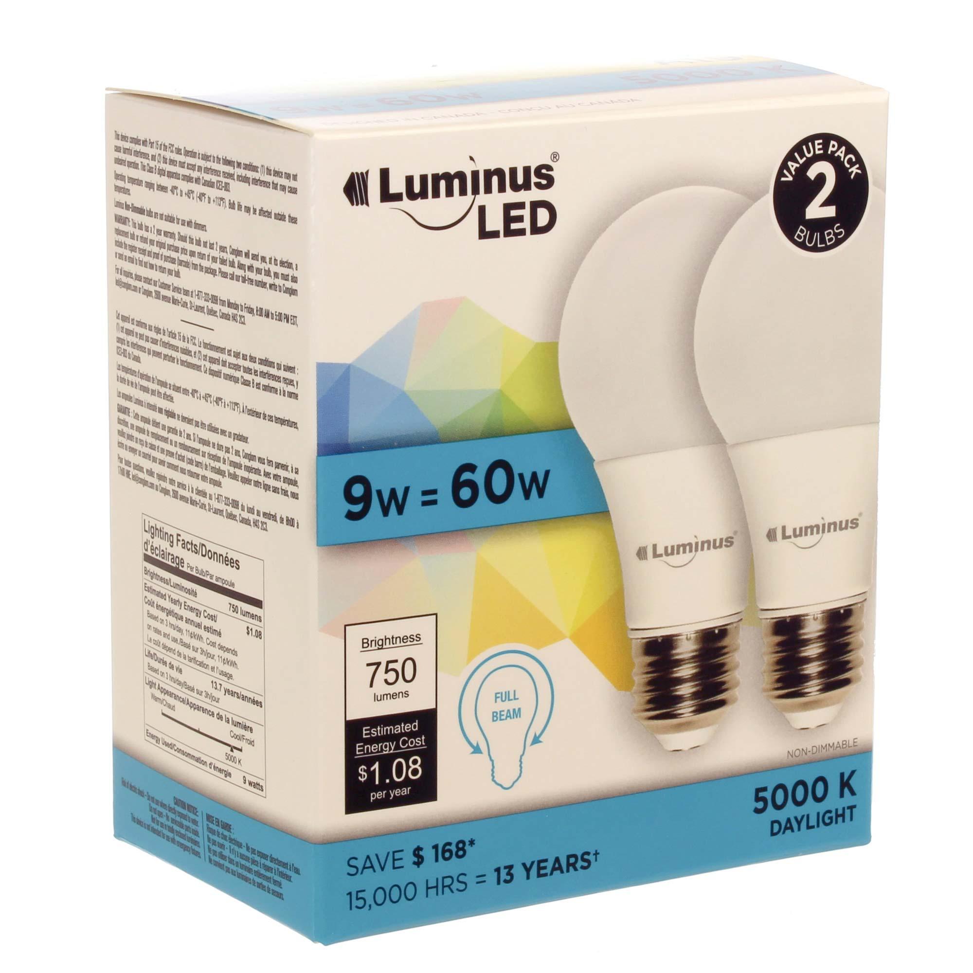 Paquet de 2 ampoules DEL9 Watt A19