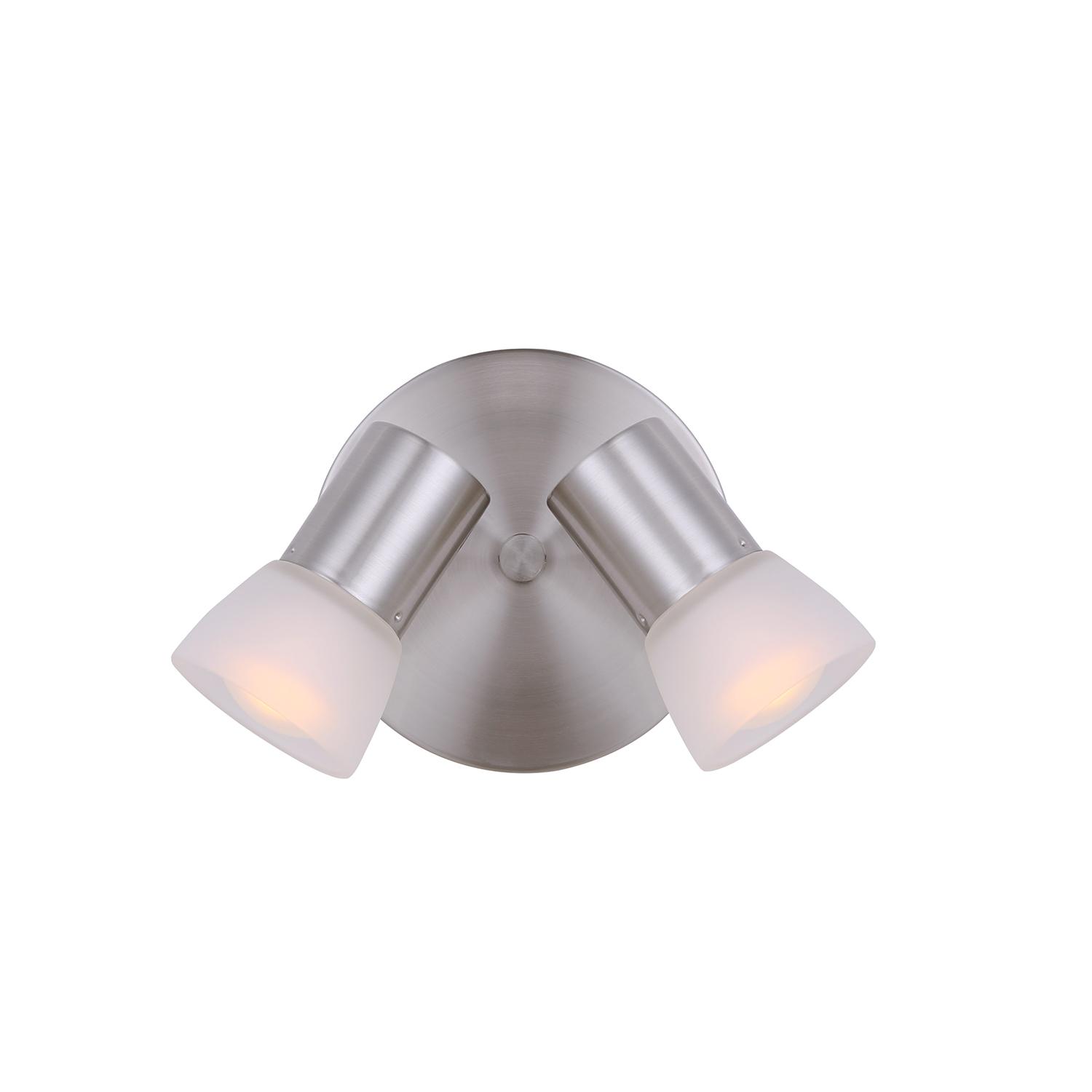 Hudson 2 Light Canopy Fixture