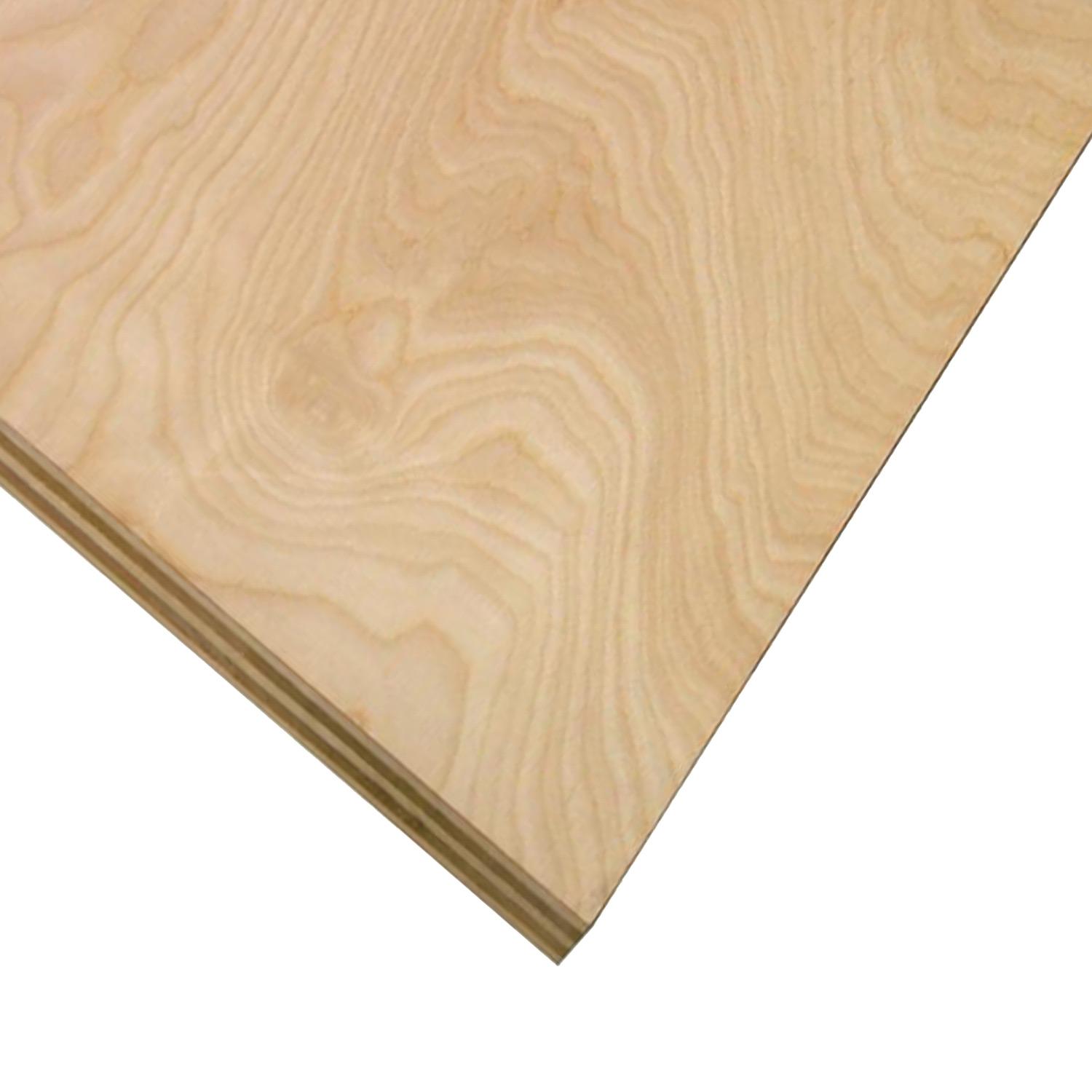 1/4" x 2' x 4 ' Cut Birch Plywood