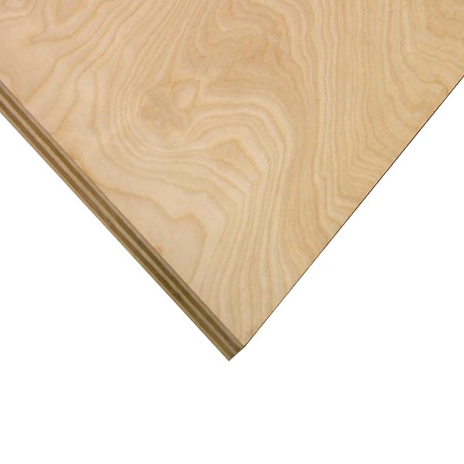 1/8" x 2' x 4 ' Cut Birch Plywood