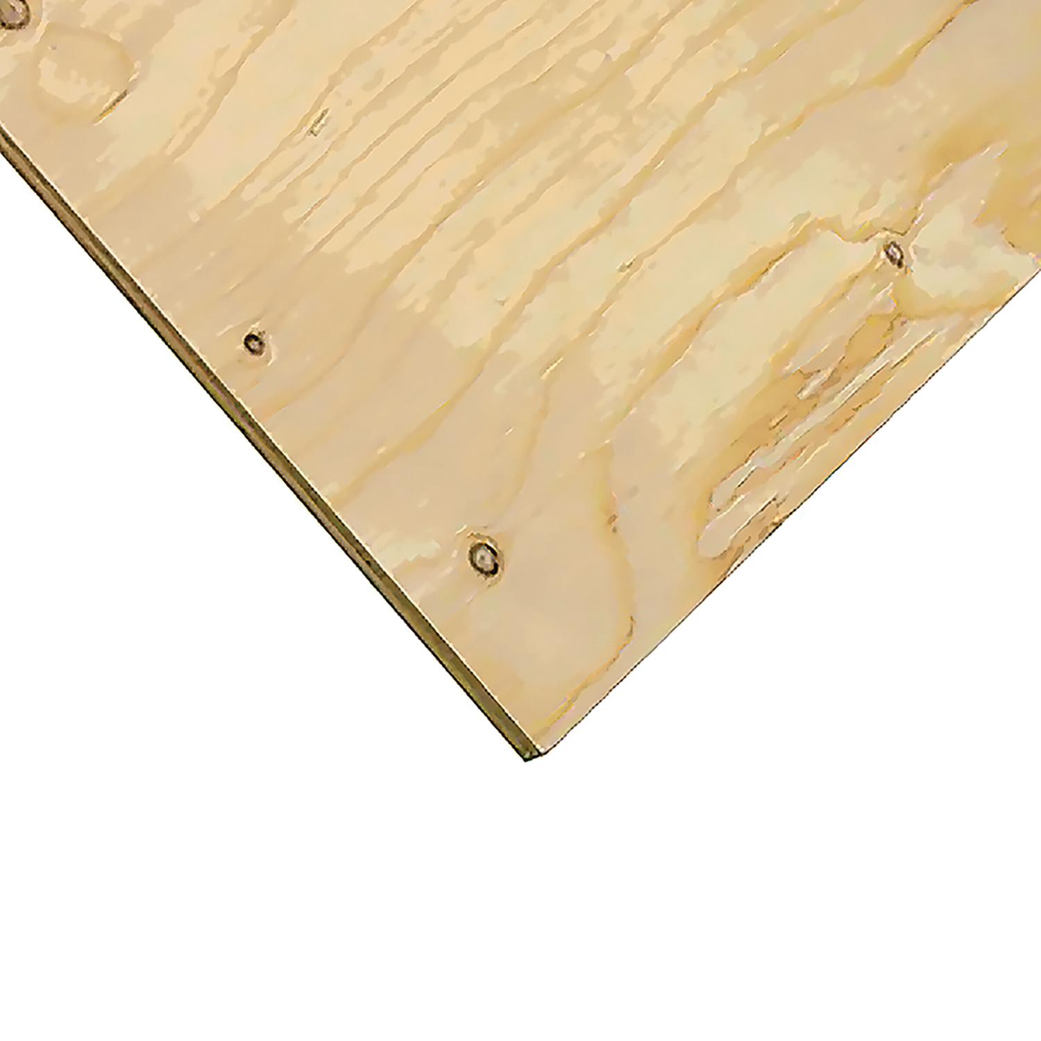 1/2" x 2' x 4' (12.5mm) Cut Spruce Select Plywood