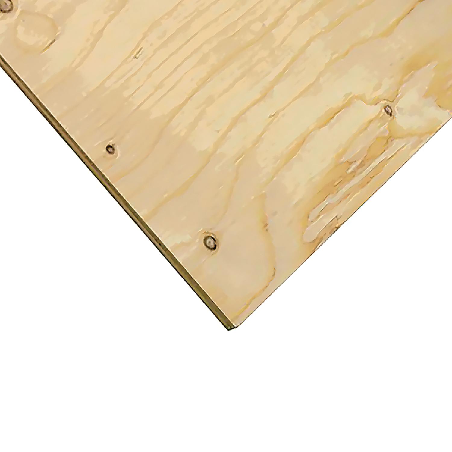 3/4" x 2' x 4' (18.5mm) Cut Spruce Select Plywood