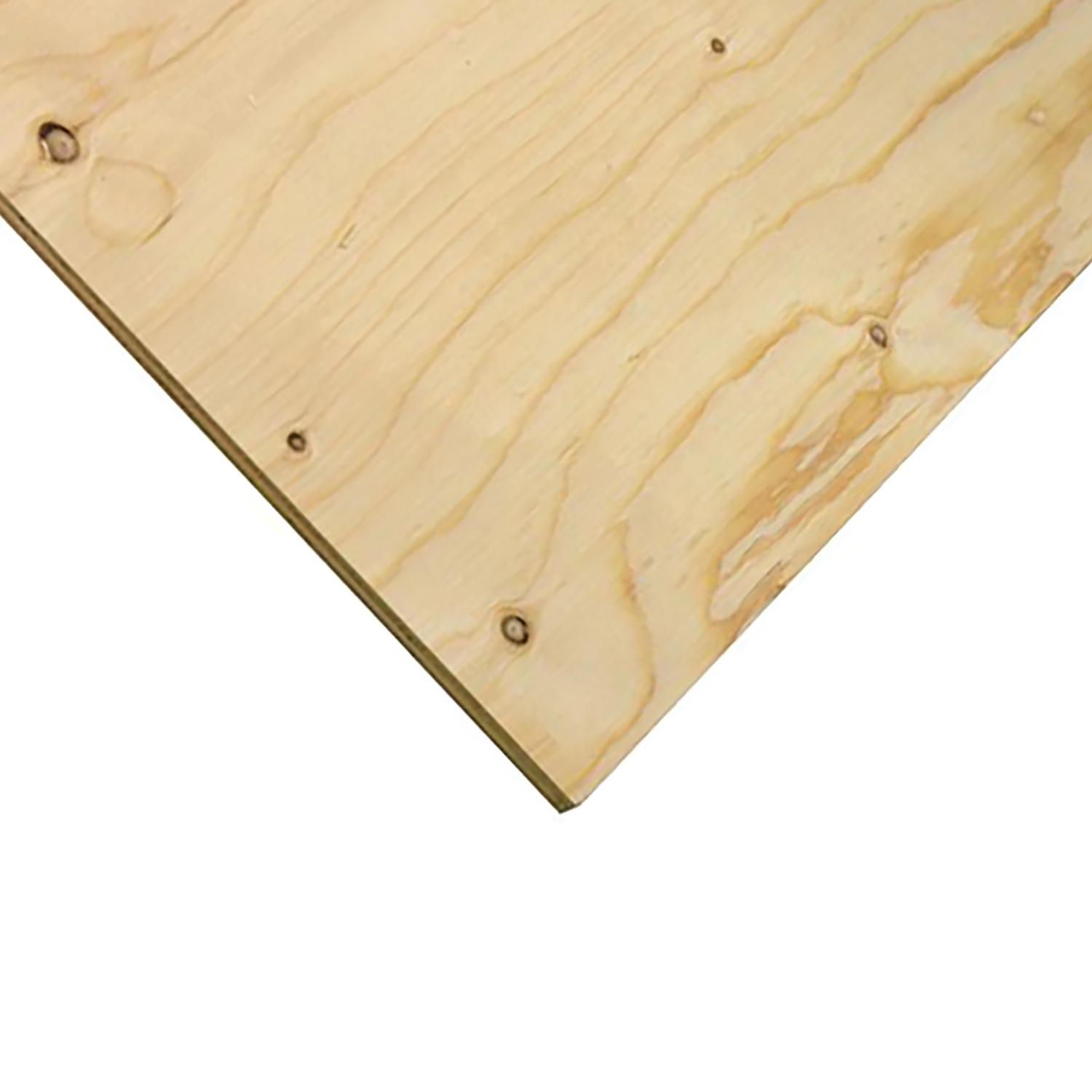 Plywood SPF 5/8 x 24 x 48