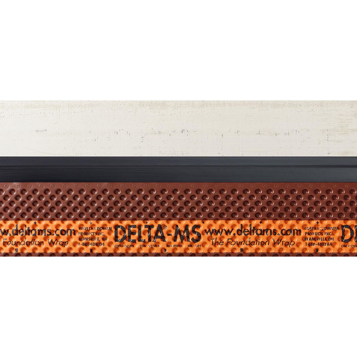Delta Mold Strip 6' 6" x 3" - 1 Strip