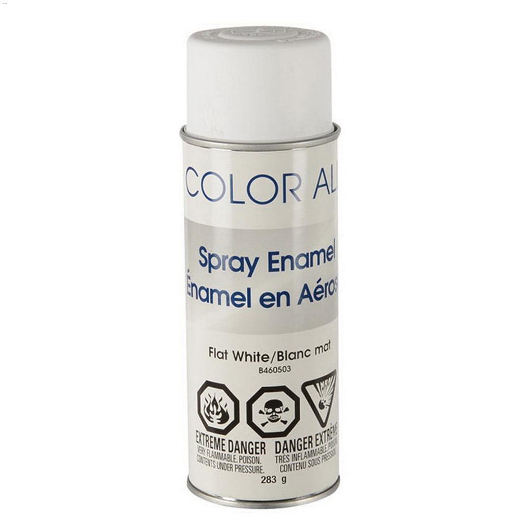 COLOR ALL Spray Enamel-Flat 283g
