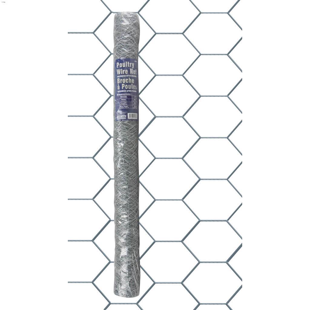 2" x 36" x 50' Hot Dipped Galvanized Poultry Netting