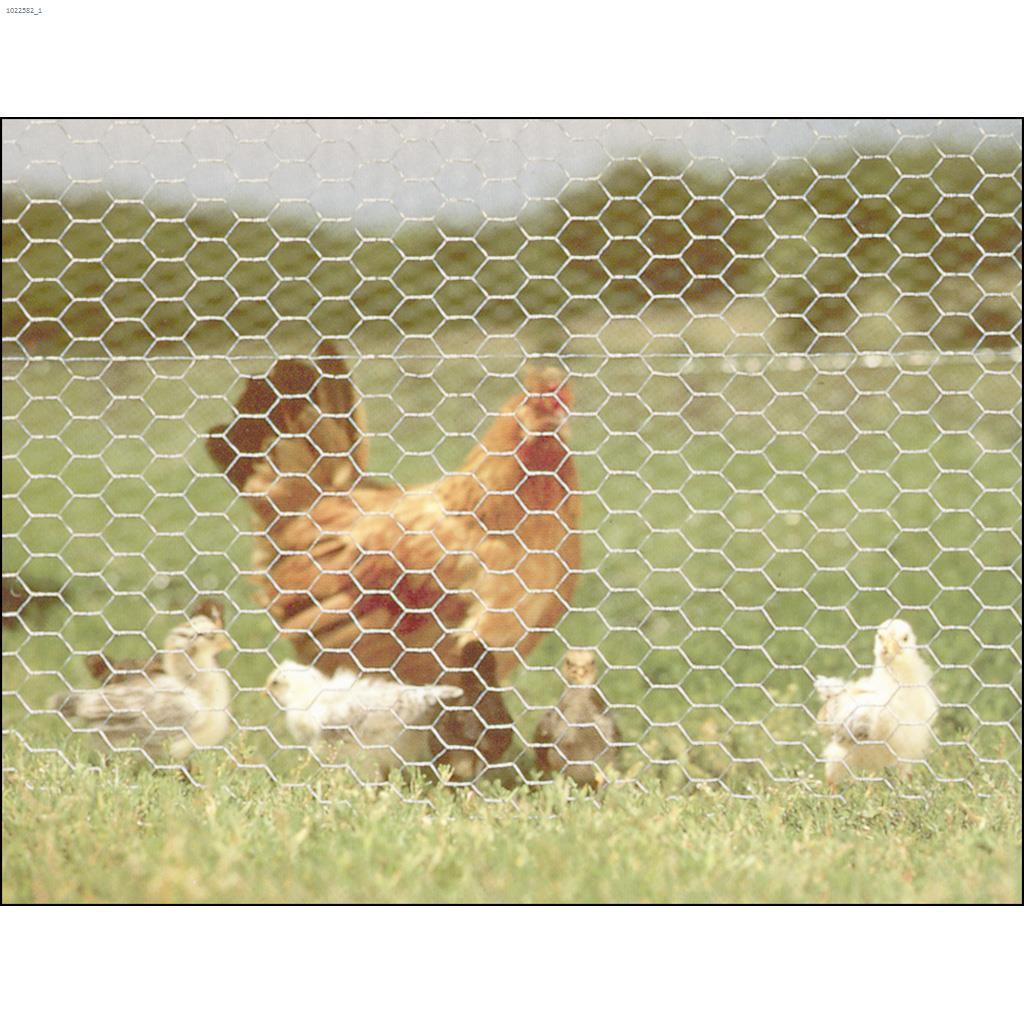 2" x 24" x 25' Hot Dipped Galvanized Poultry Netting