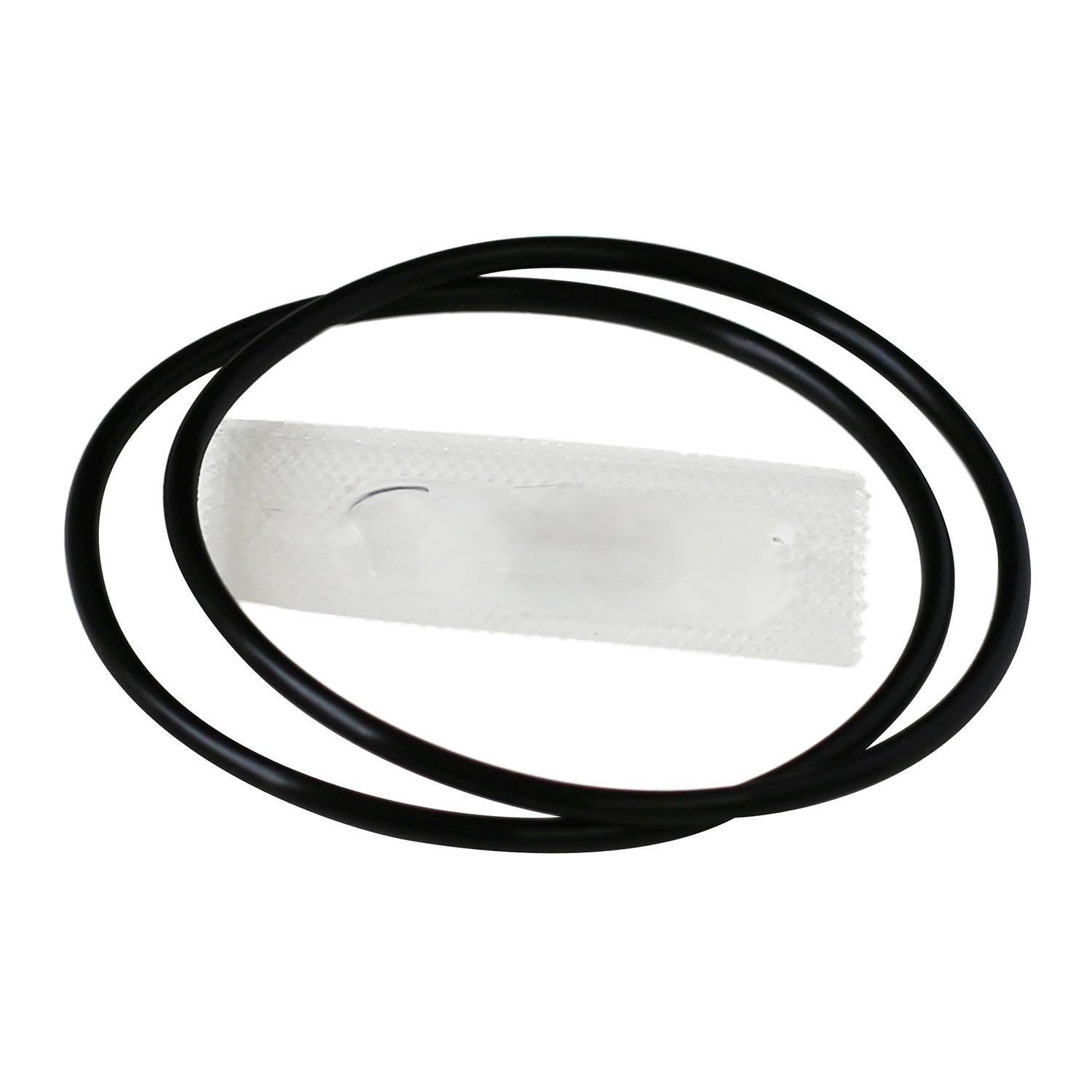 Head O-Ring - 2/Pack