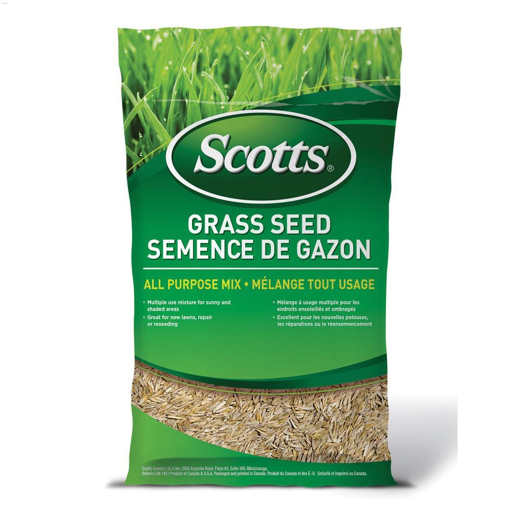 10 kg Grass Seed All Purpose Mix