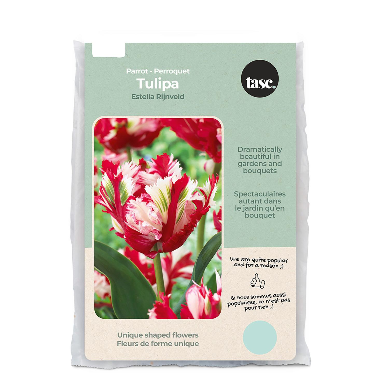 Tulip Parrott Estella Bulb Pack