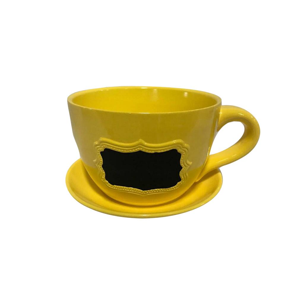 Assorted Cup Pots