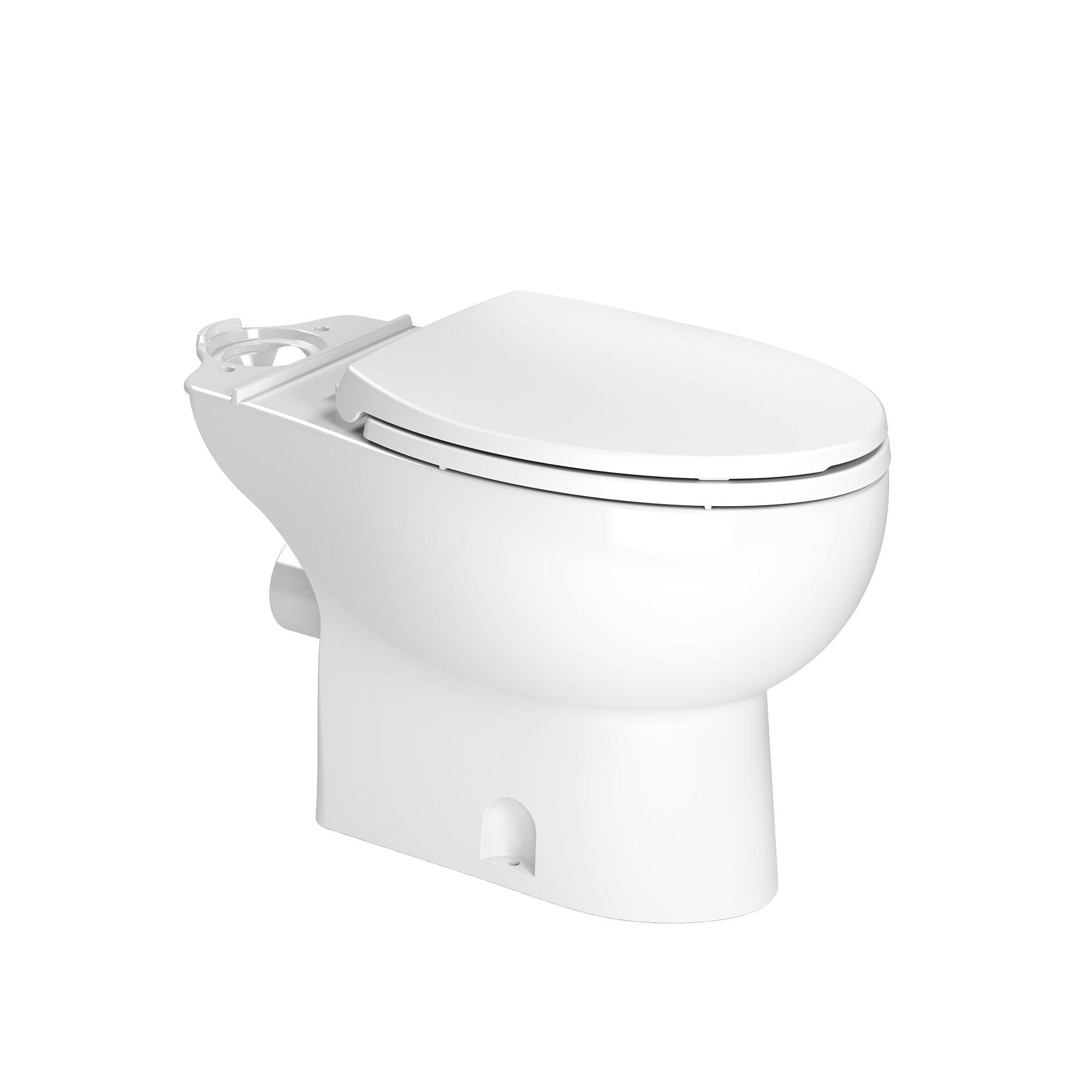 Elongated Toilet Bowl
