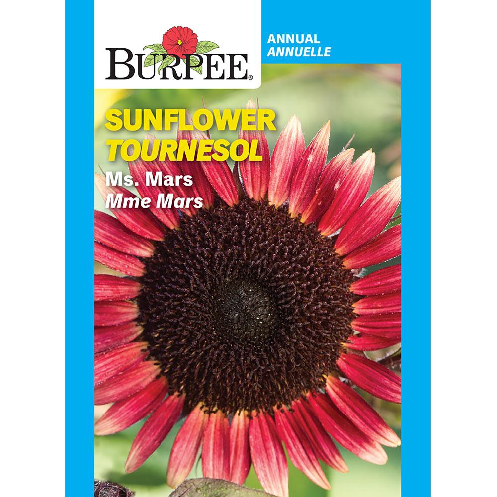 Burpee Assorted Flower Seed Packets