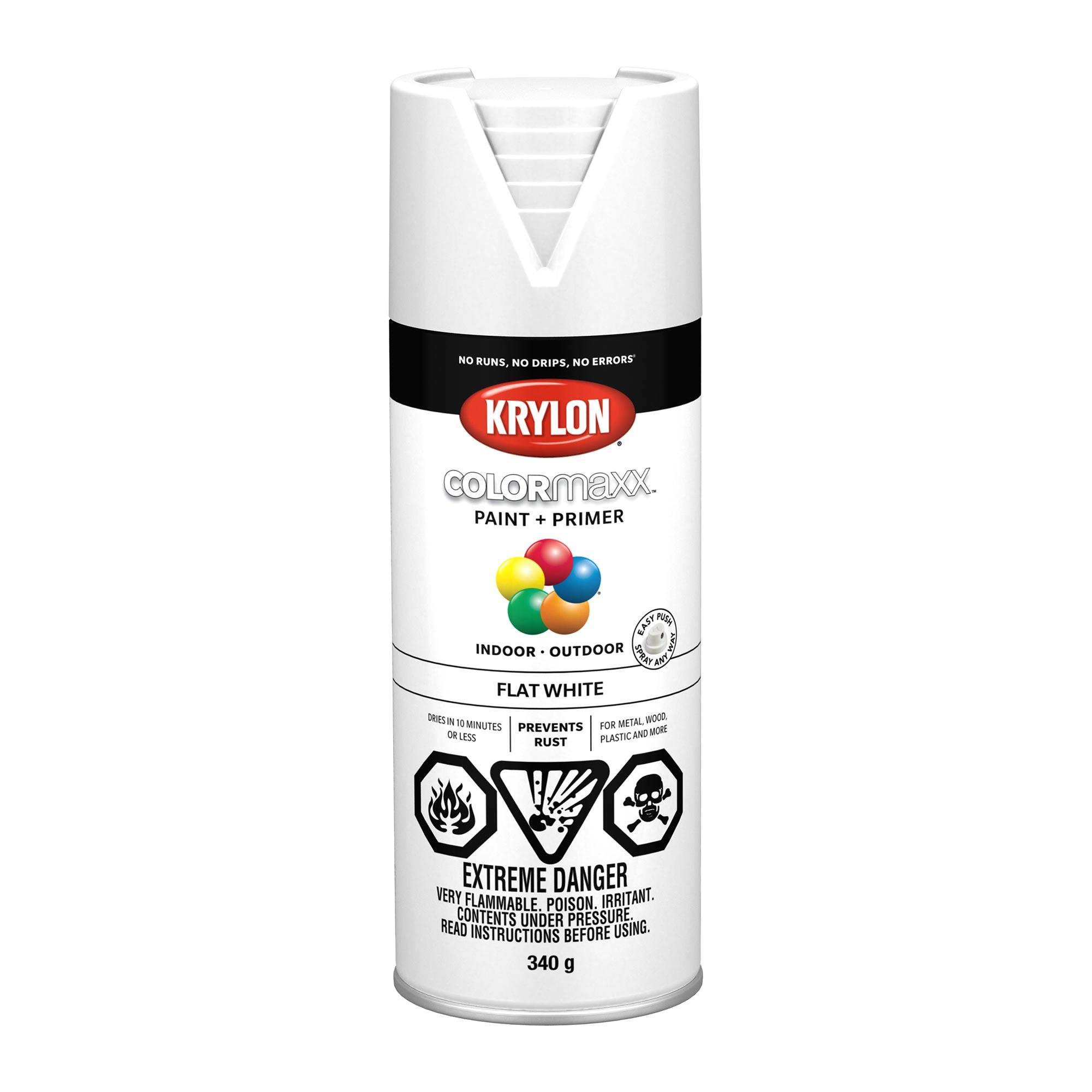 COLORmaxx Spray Paint-Flat 340g