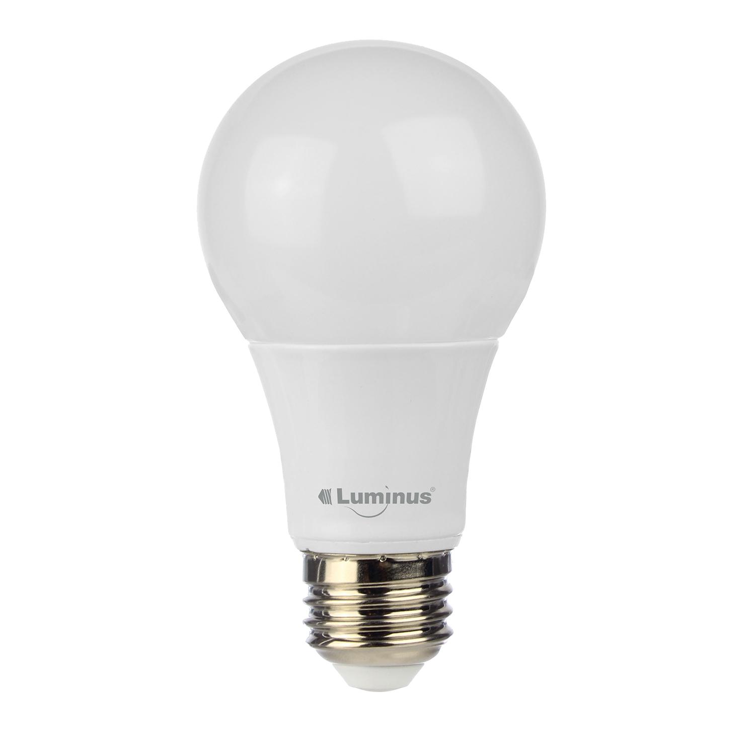 Ampoule A19 DEL Basix 6 W 5 000 K Luminus