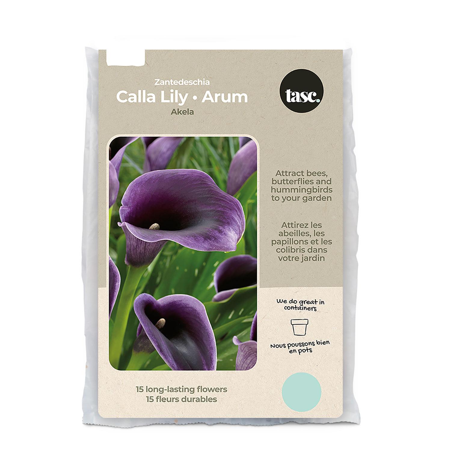 Akela Calla Lily Spring Bulb