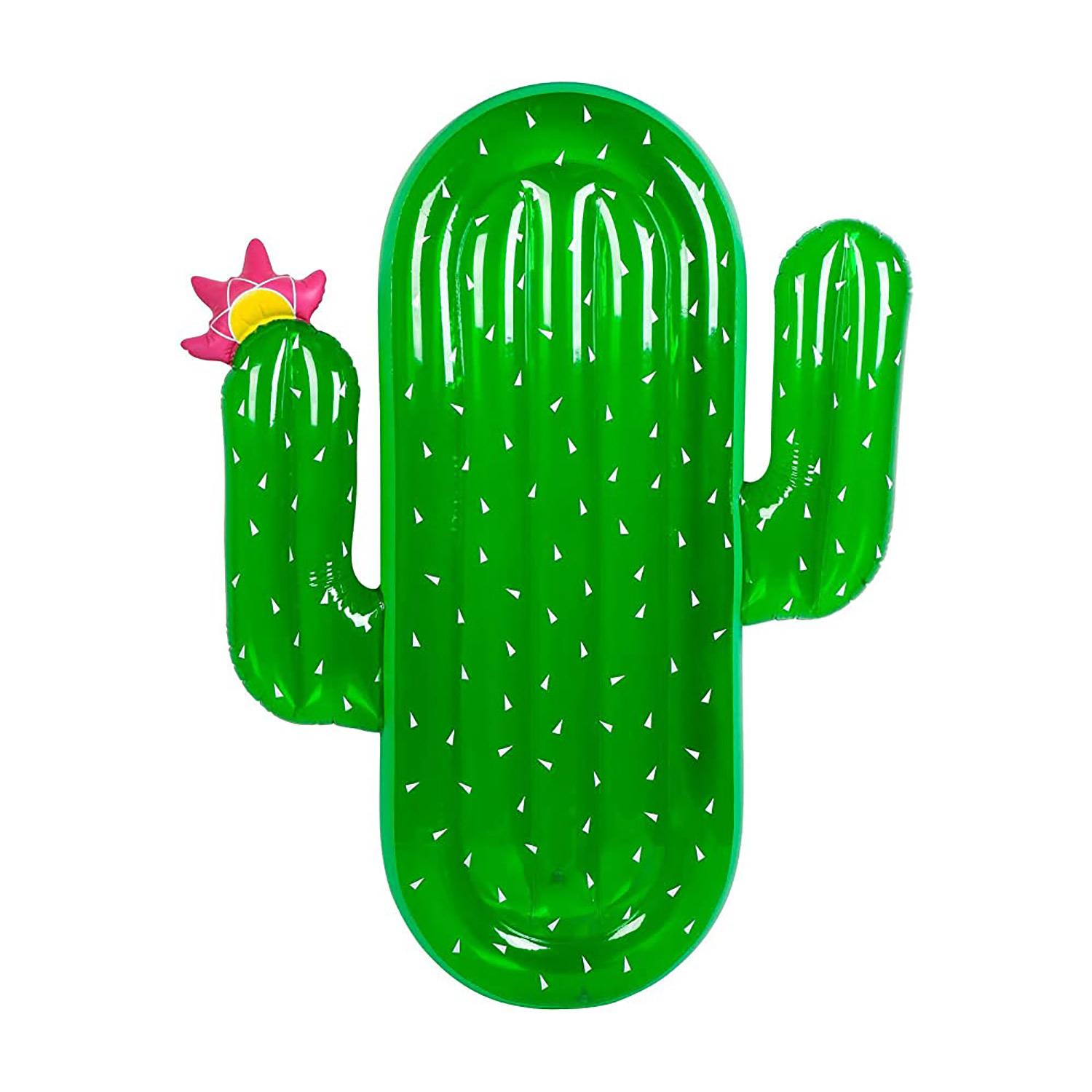 Flotteur de piscine en forme de cactus