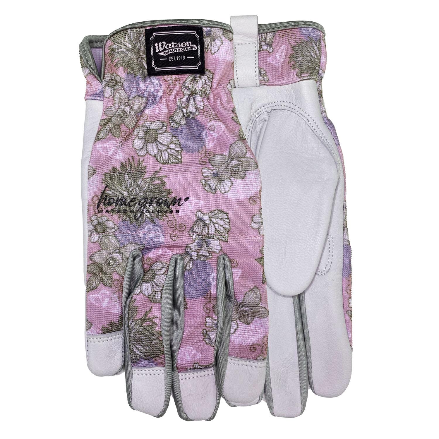 Garden Glove Lily