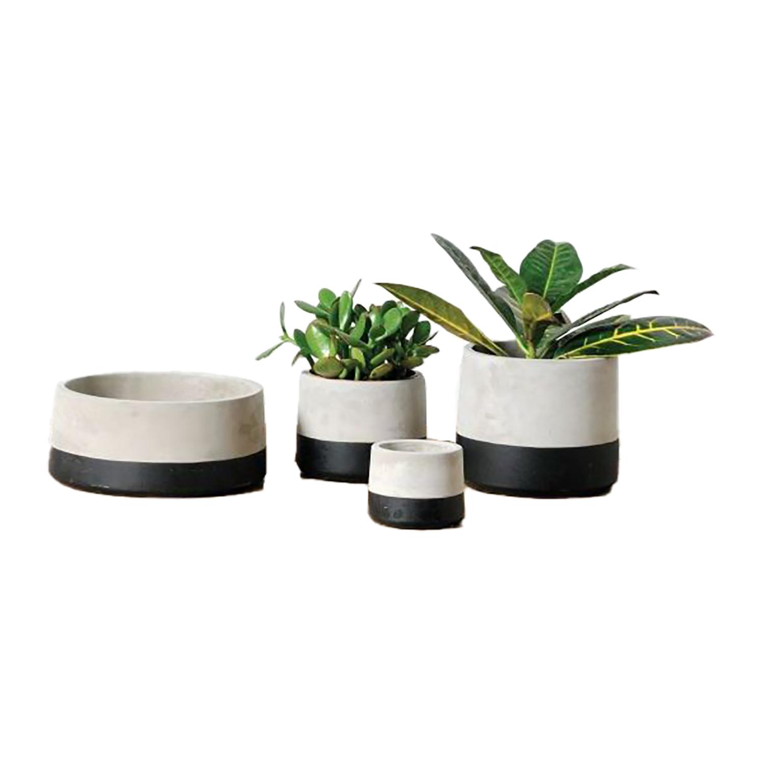 2.5" Concrete Planter