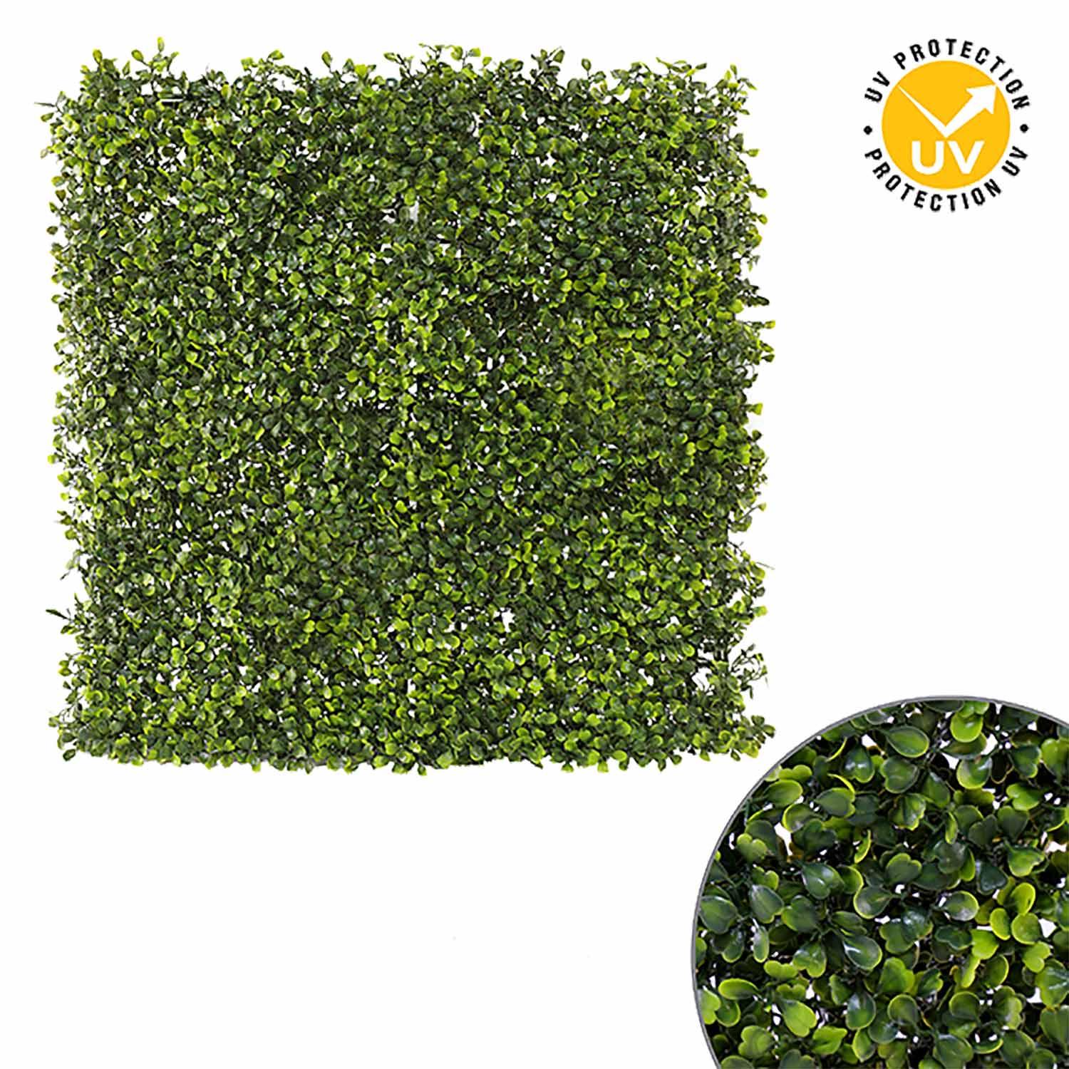 Boxwood Privacy Panel-39"X39"