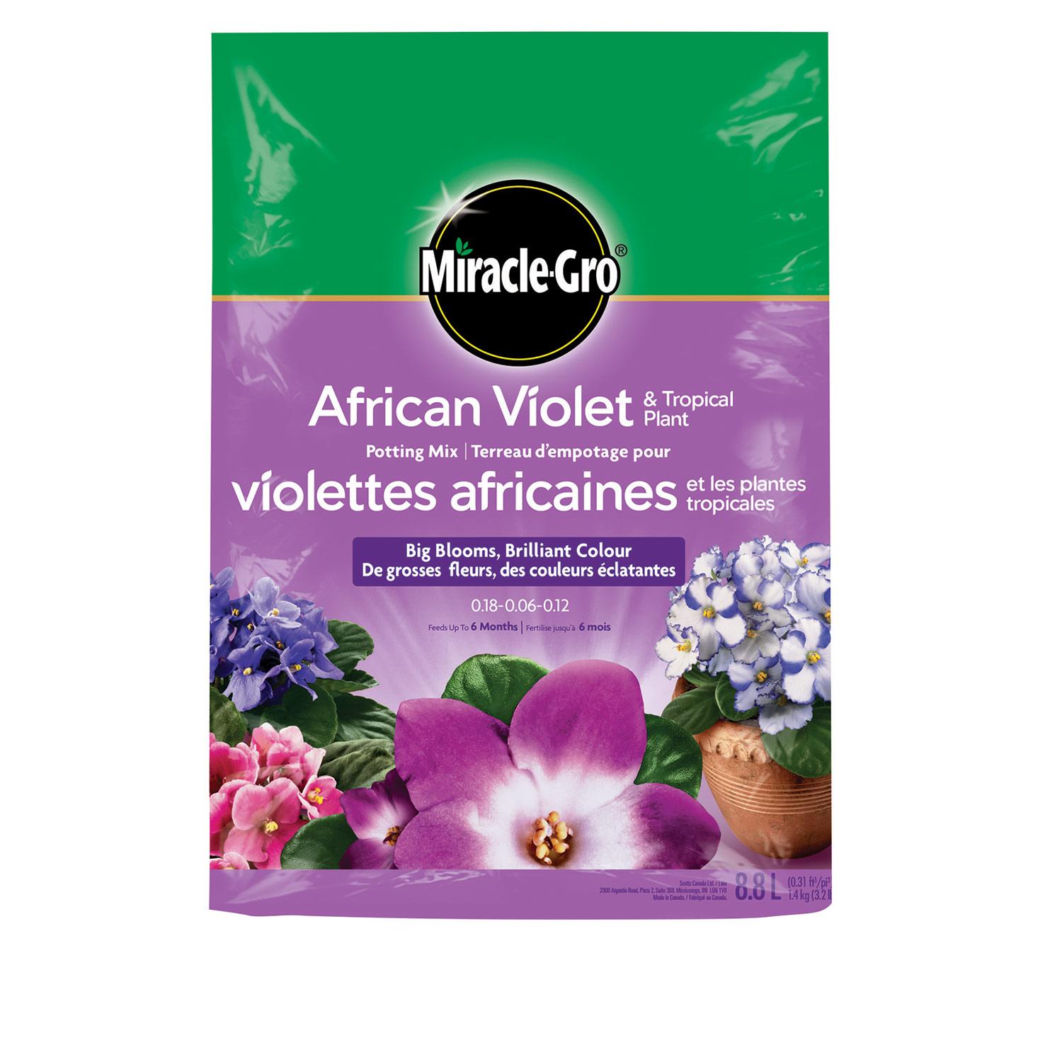 Terre mél plantes tropi violettes africaines Miracle-Gro 8,8