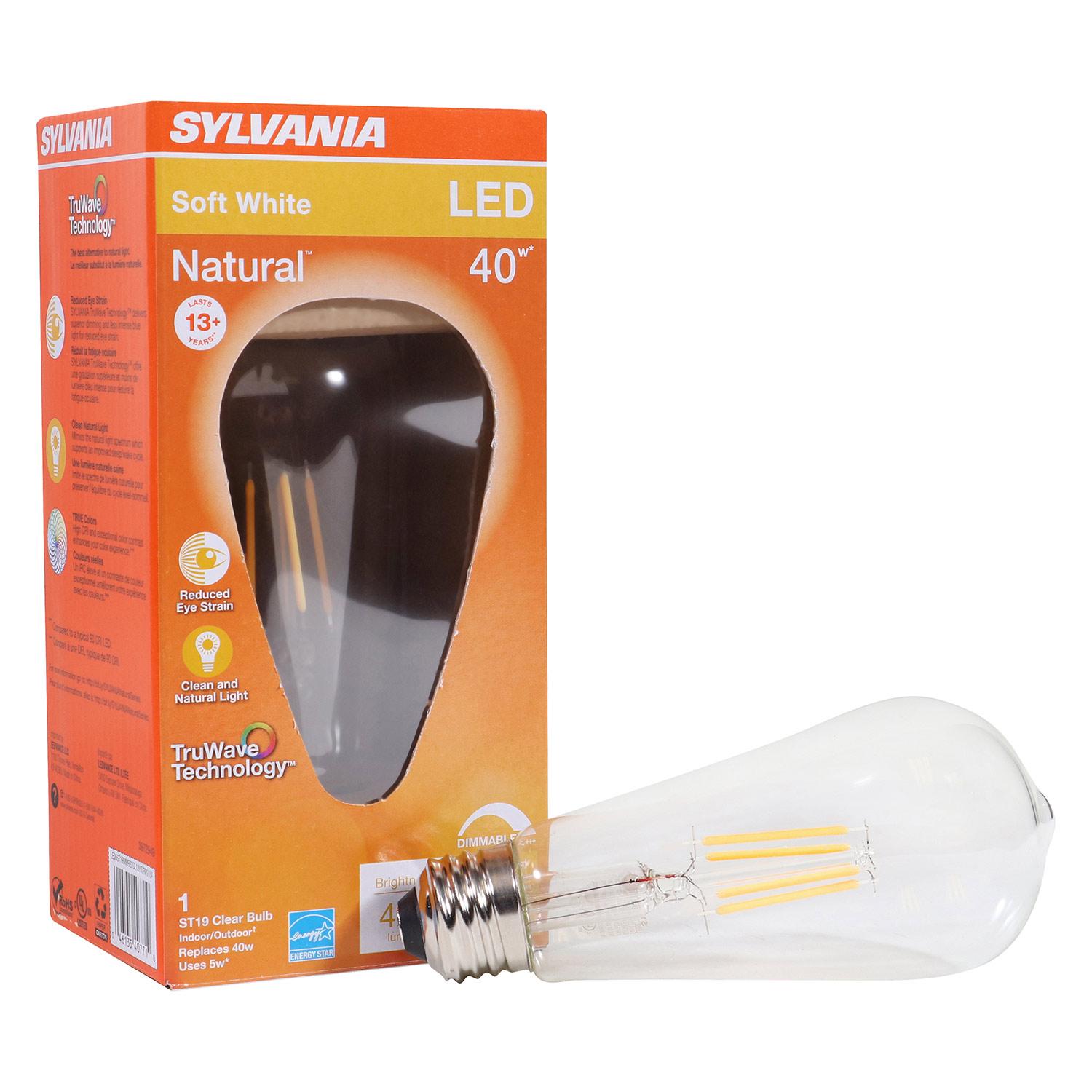 ST19 5W 2700K Dimmable TruWave Clear LED Bulb
