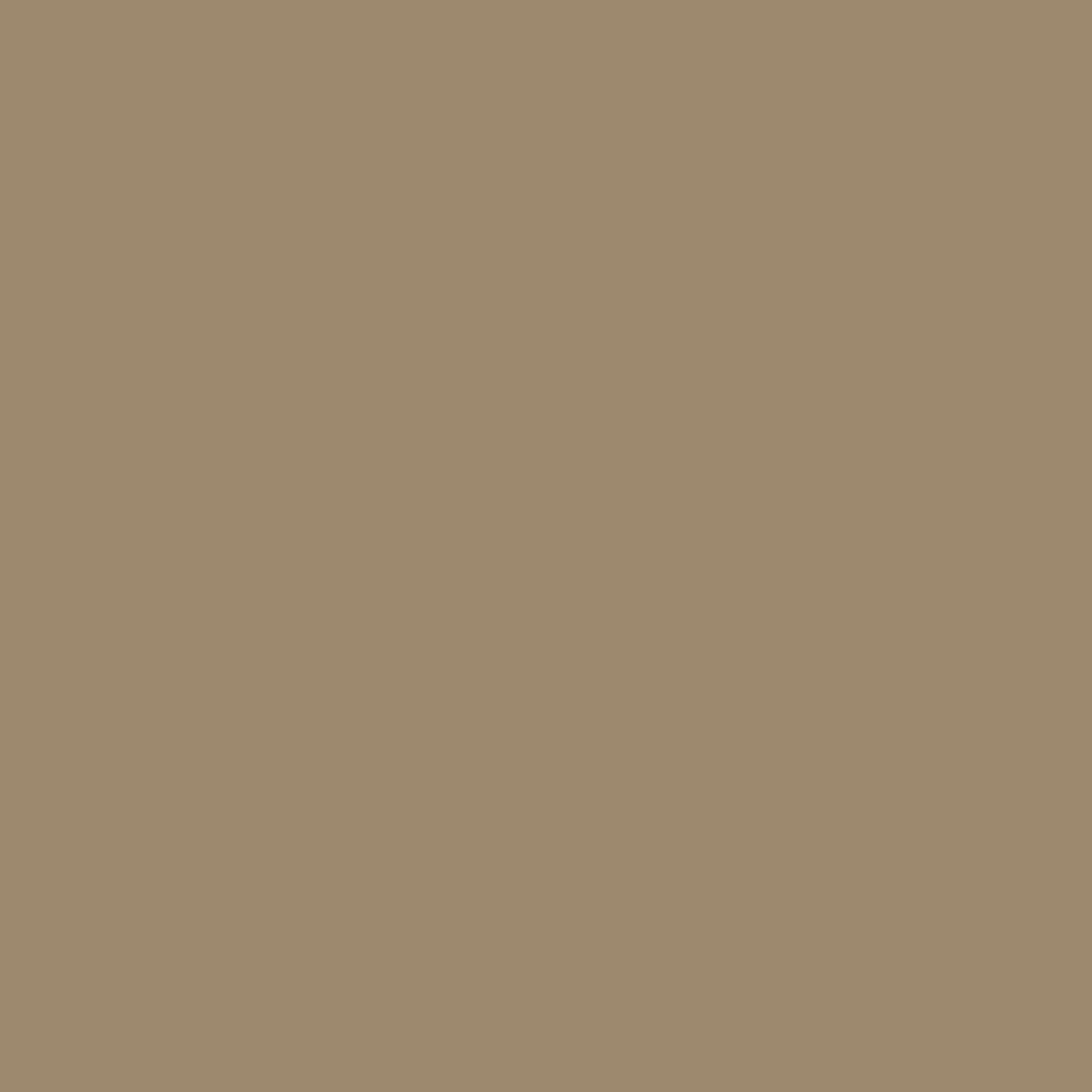 Bardage stuc HZ5 James Hardie 4 x 10, brun kaki