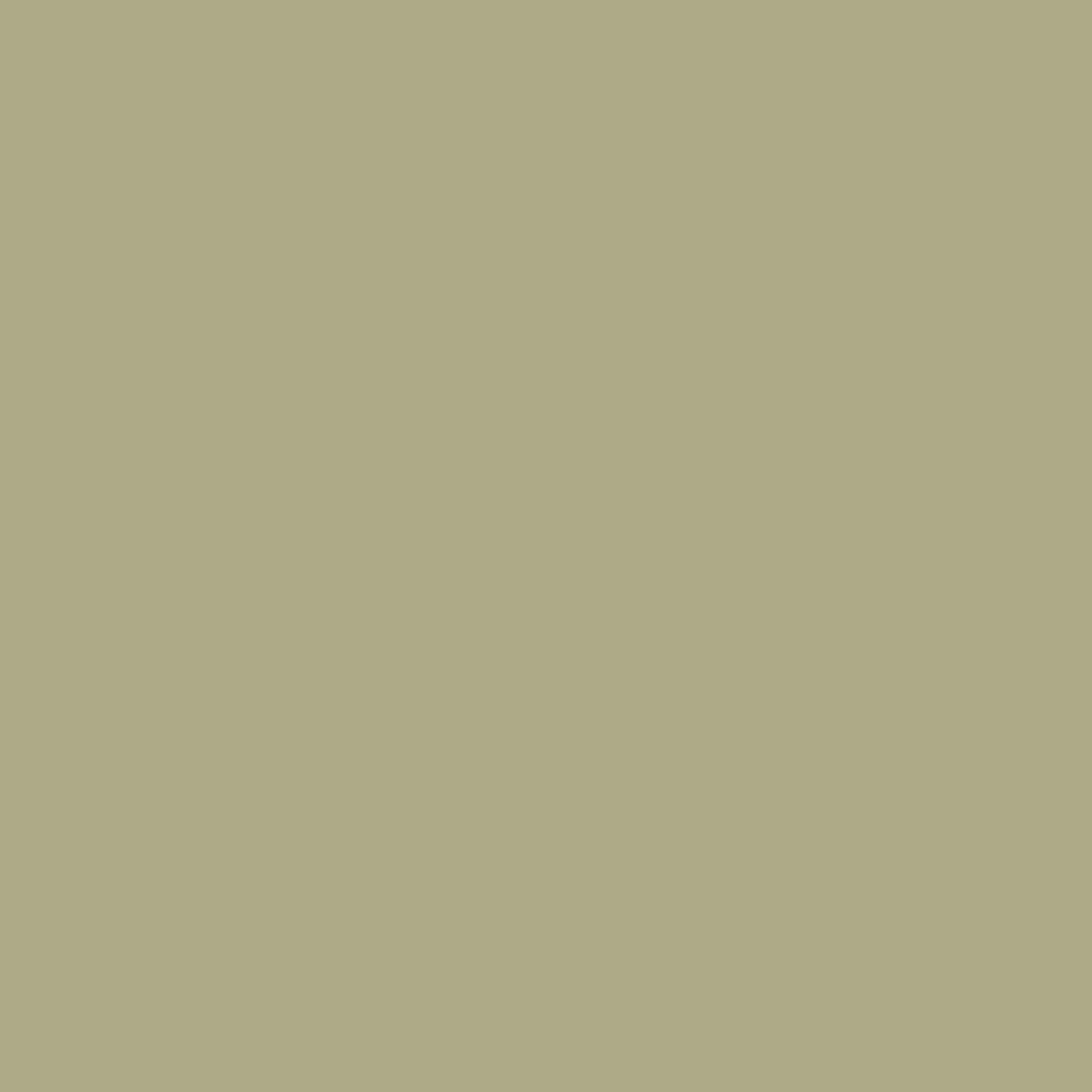 Bardage stuc HZ5 James Hardie 4 x 8, mousse chinée