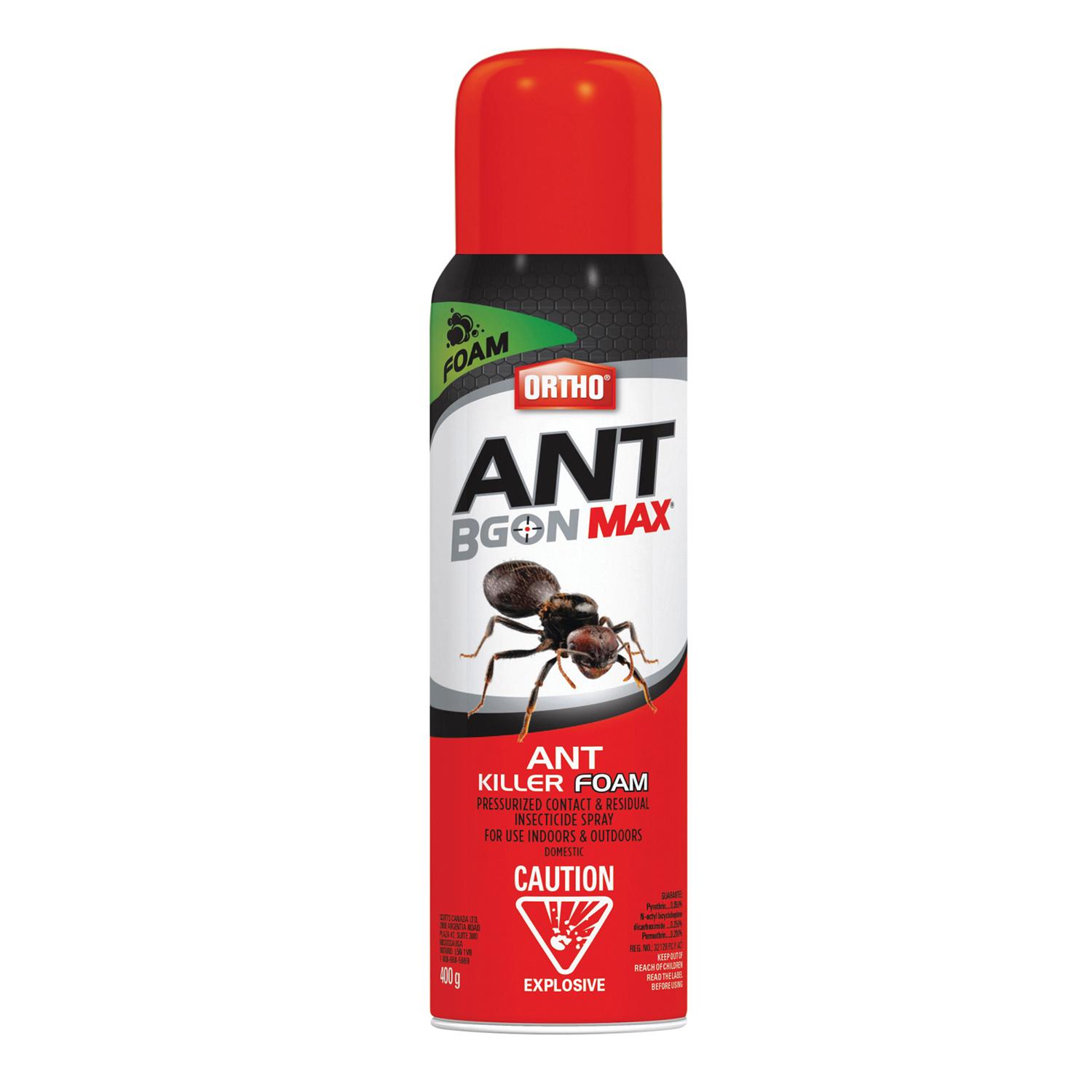 Ant B Gon Max Ant Killer Foam-400g