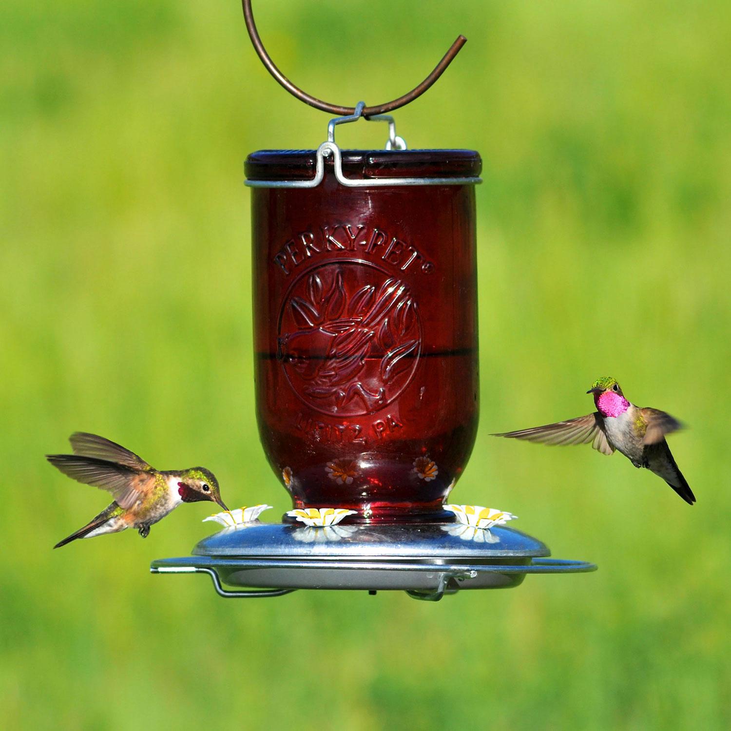 Mason Jar Hummingbird Feeder