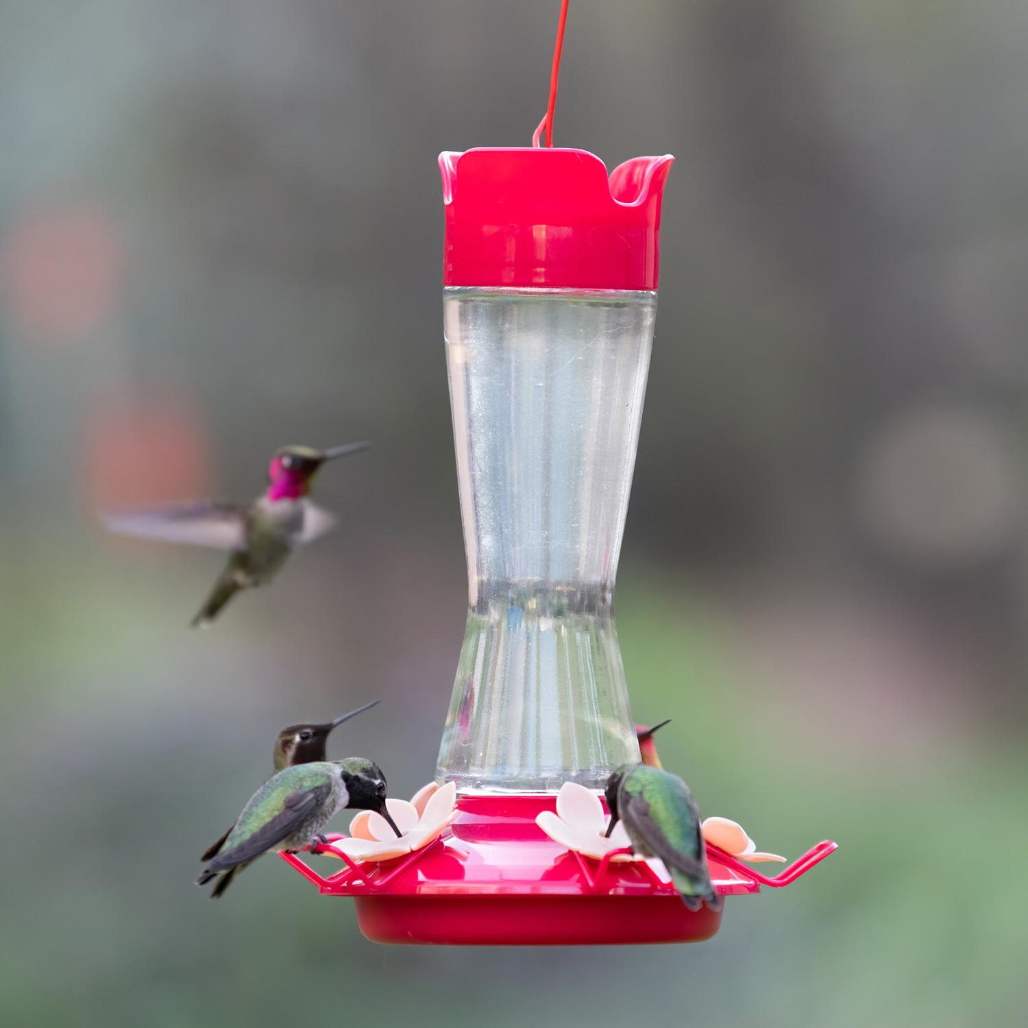 Top Fill Core Feeders