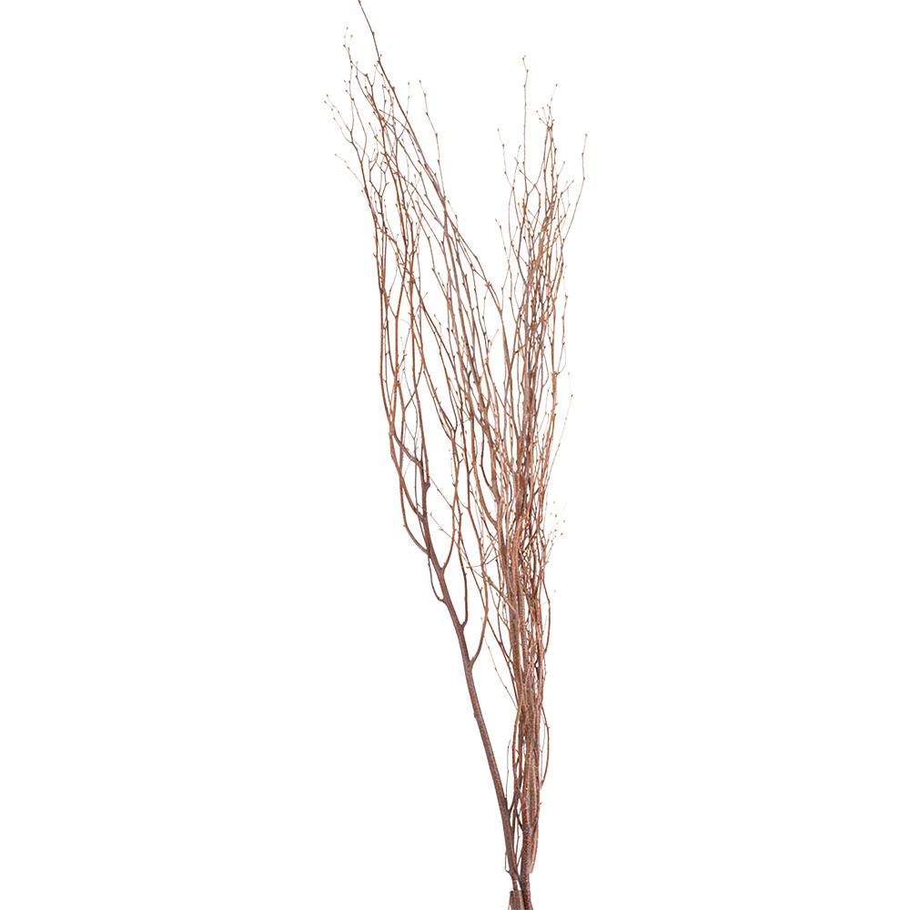 Birch Branch Stem Assortment