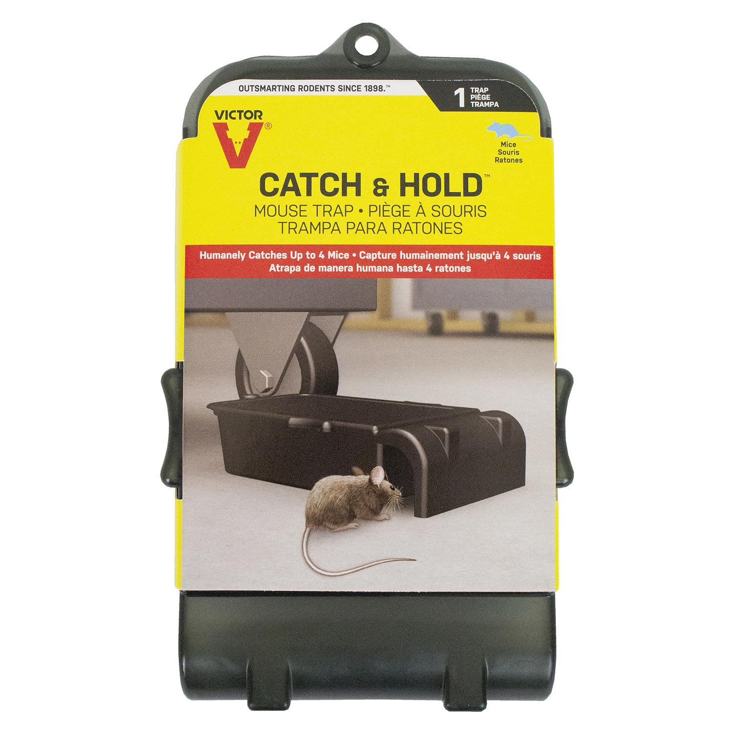 Multi Catch Mouse Trap
