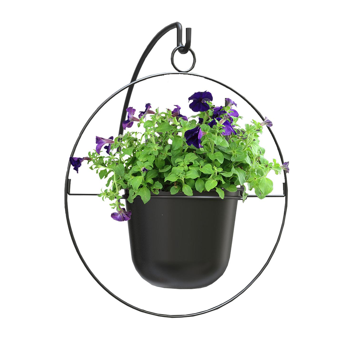 Ring Hanging Basket