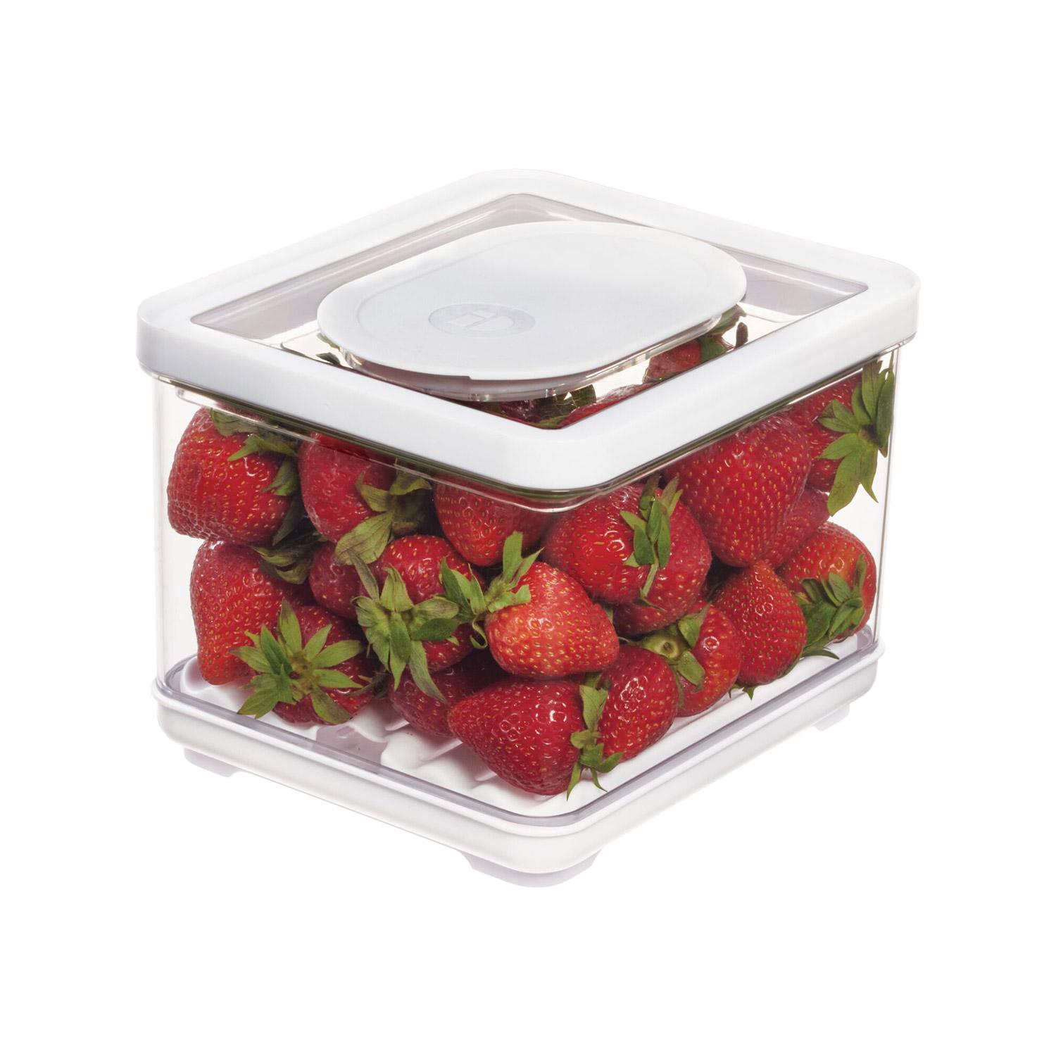 Fresh Food Storage