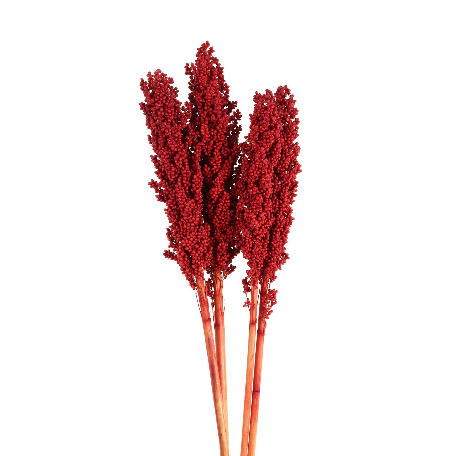 Milo Berries Stem -Red Glitter