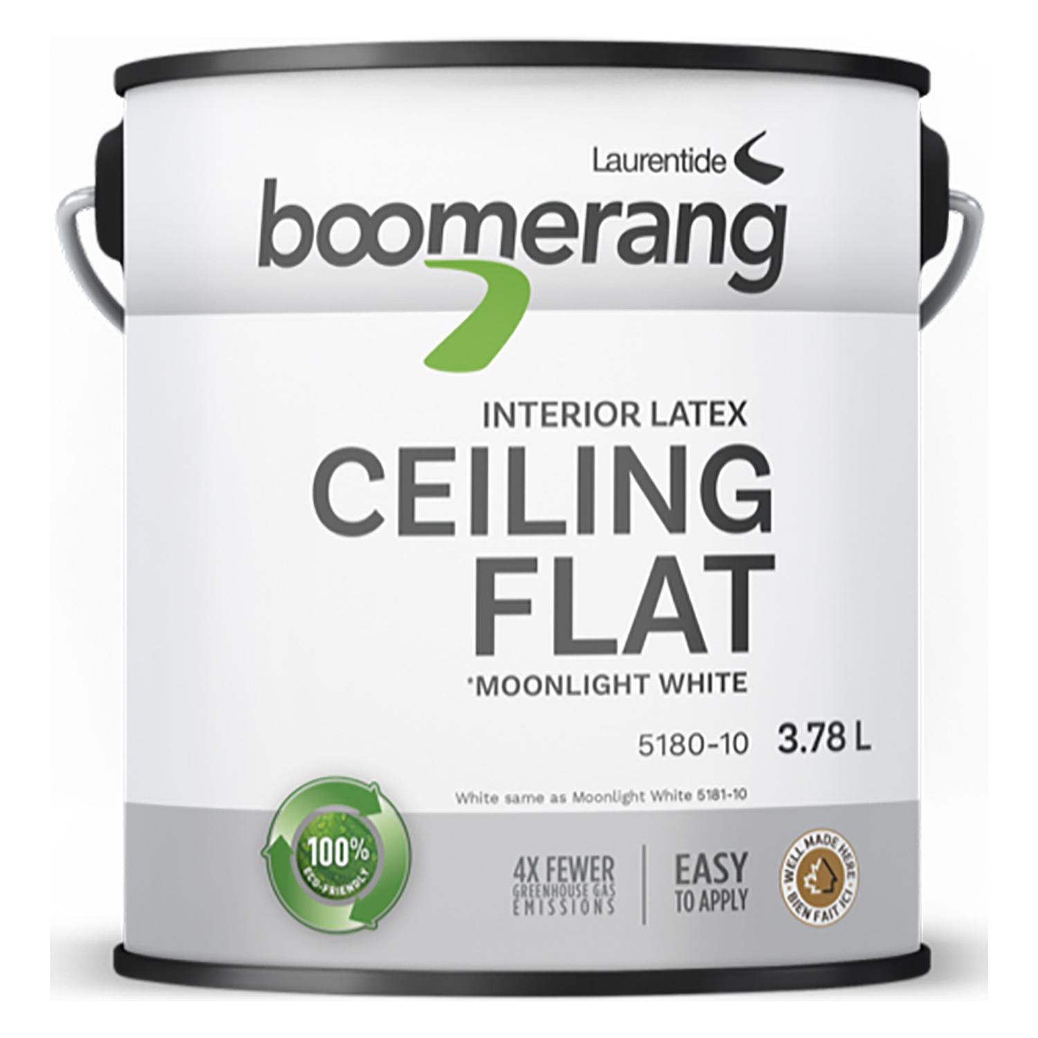 Boomerang Recycled Ceiling Paint 3.78L