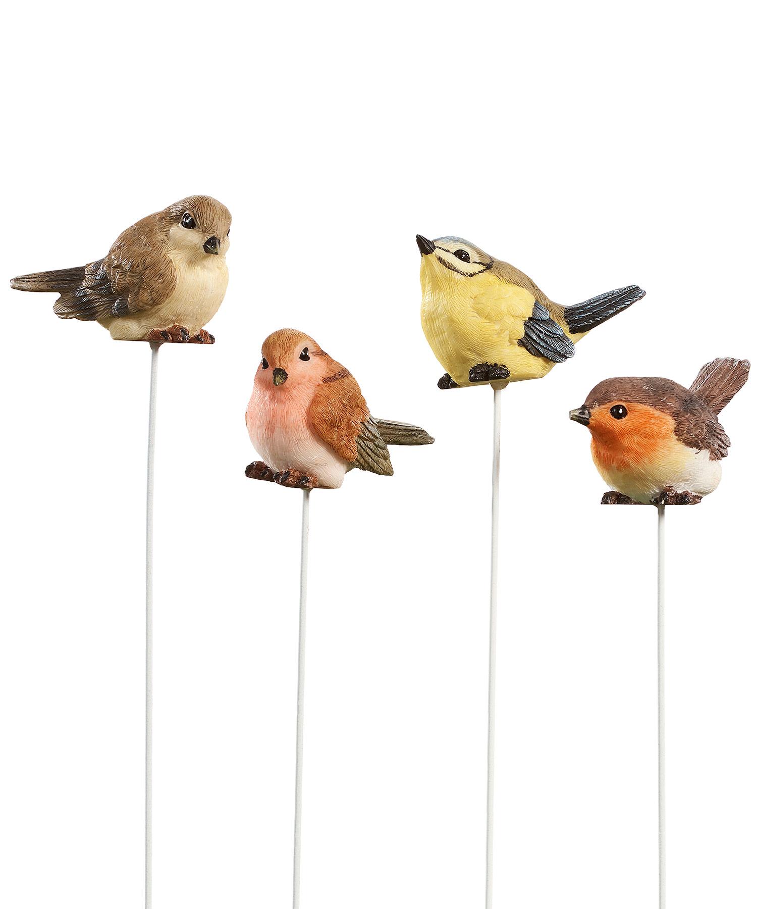 Pics pour plantes oiseaux assortis
